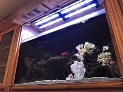 90 gal Tank