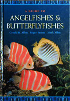 A Guide To Angelfishes and Butterflyfishes by Allen, Steene, Allen