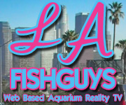 LA Fishguys, Aquarium Reality Video's