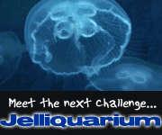 Jelliquarium, Jellyfish Display Systems