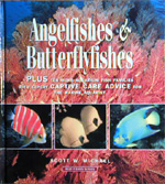 Angelfishes & Butterflyfishes by Scott Michael