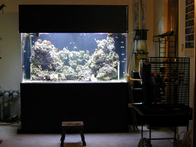 250 gallon aquarium
