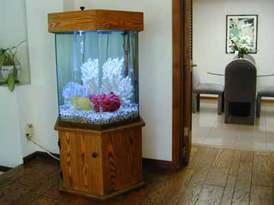 hexagon fish tank stand